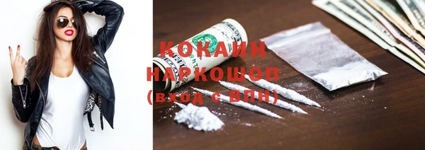 крисы Баксан
