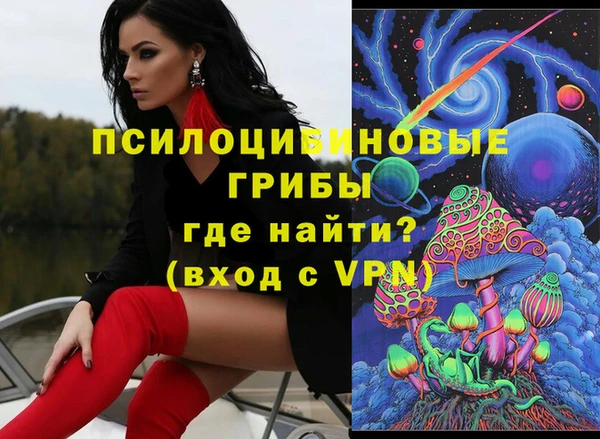 гидра Корсаков