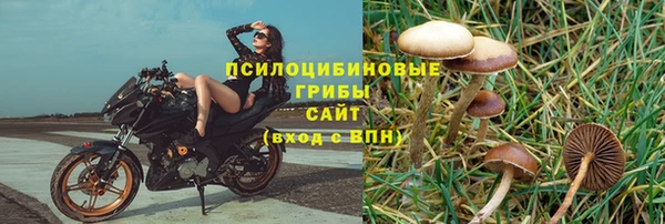 скорость Краснослободск