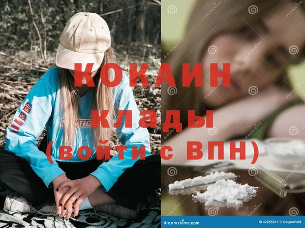 крисы Баксан
