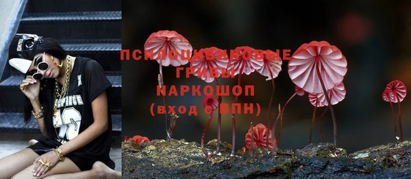 скорость Краснослободск