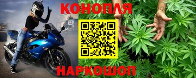 амф Донской