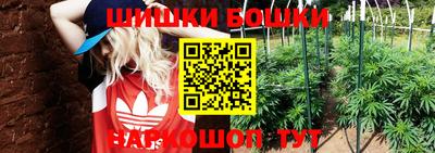 индика Балаково