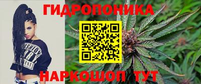 амф Донской