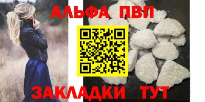 амф Донской