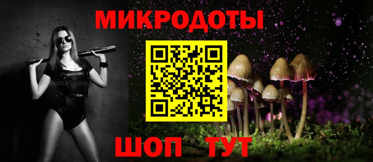 Псилоцибиновые грибы Psilocybe  Вход с VPN  Георгиевск 