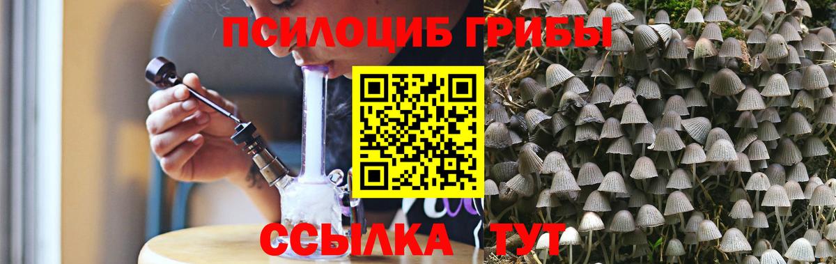 Галлюциногенные грибы мухоморы Георгиевск